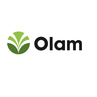 olam